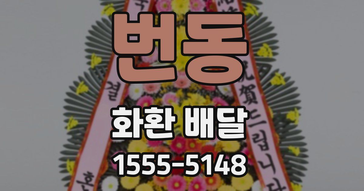 번동 화환 배달