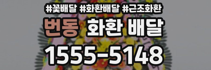 번동 화환 배달
