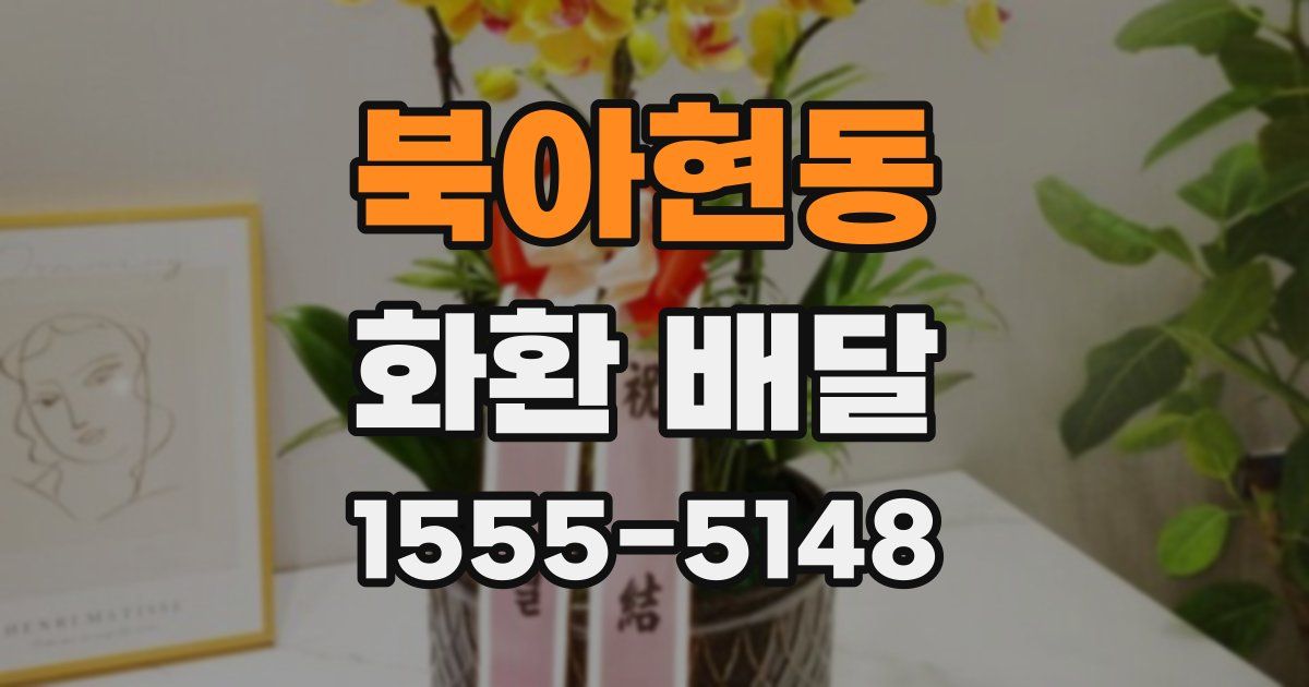 북아현동 화환 배달