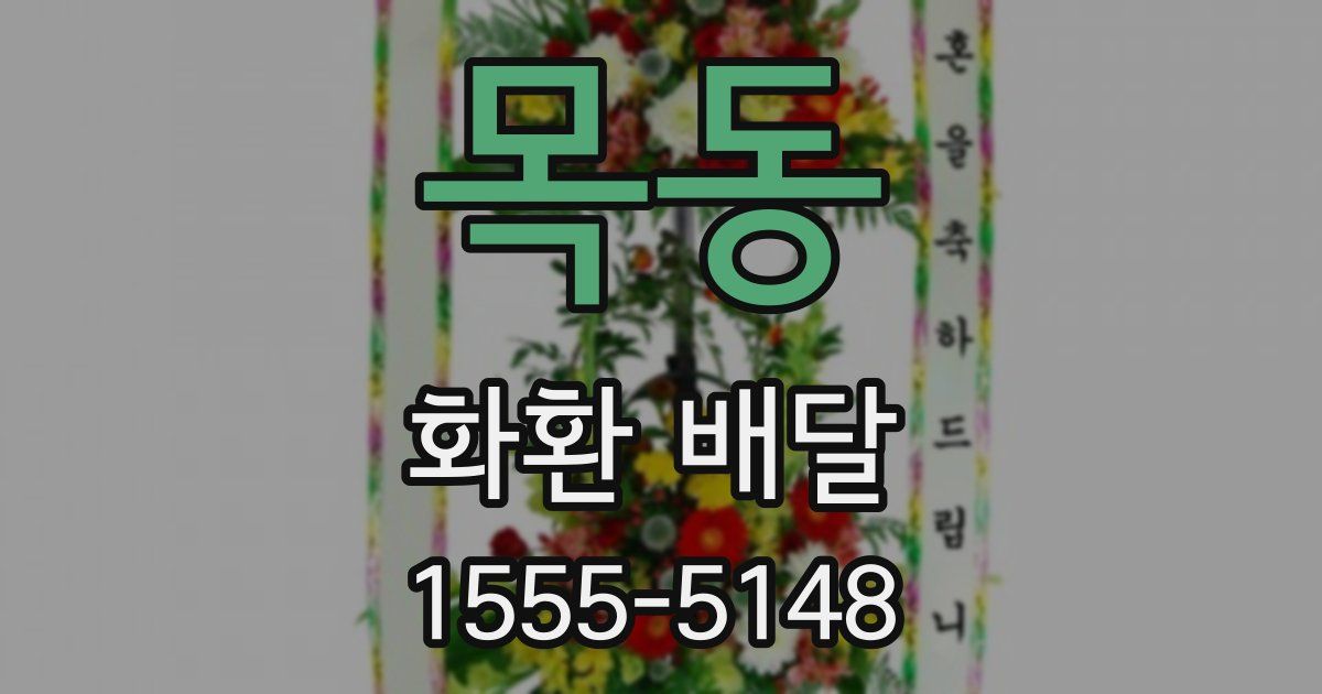 목동 화환 배달