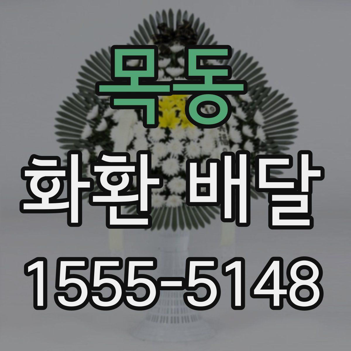 목동 화환 배달