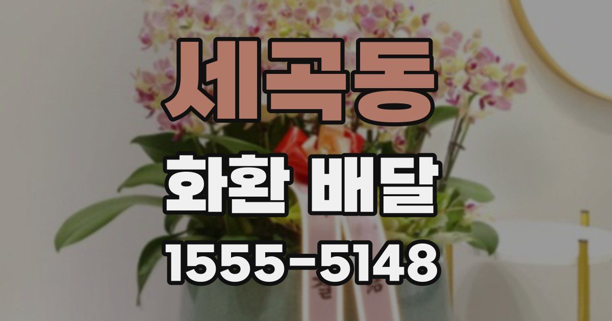 세곡동 화환 배달