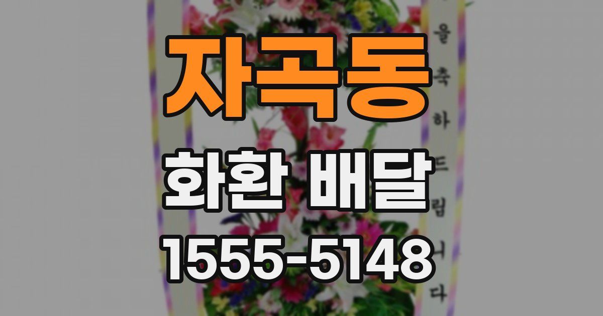 자곡동 화환 배달