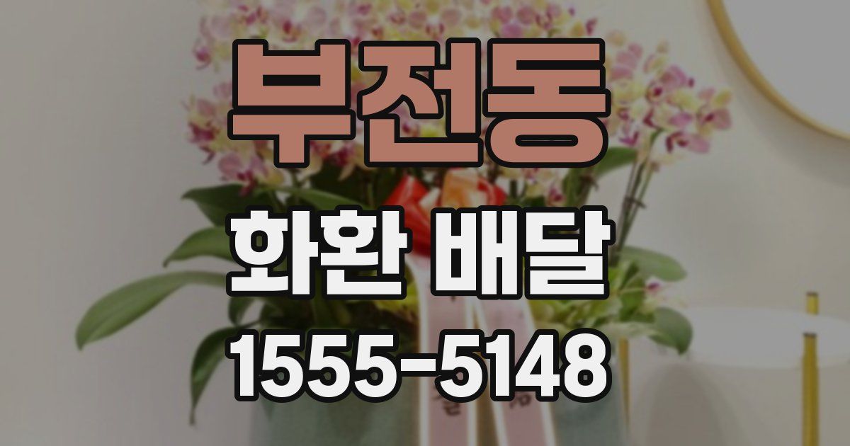 부전동 화환 배달