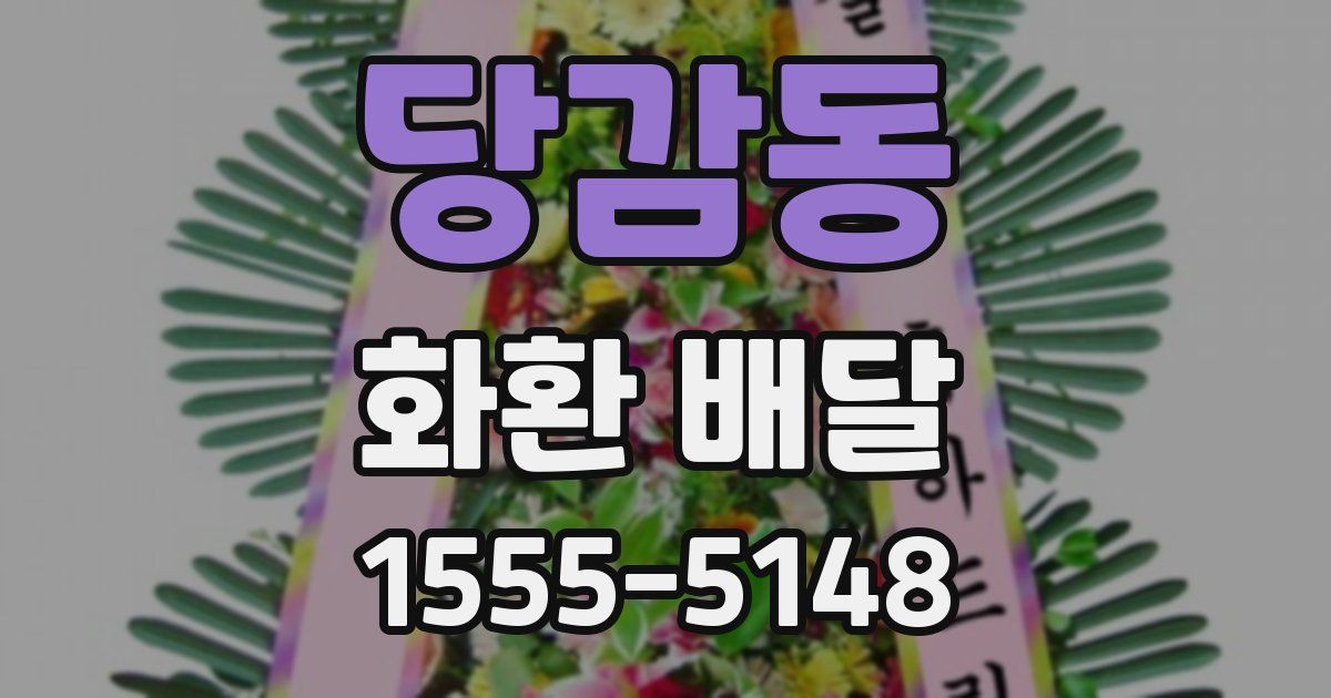 당감동 화환 배달