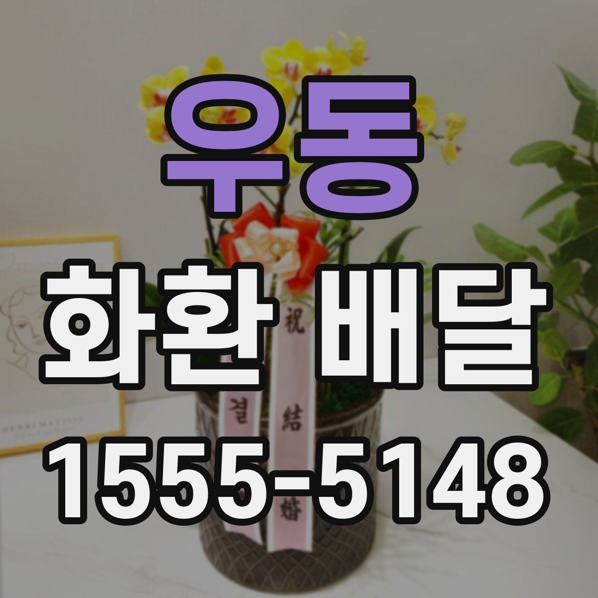 우동 화환 배달