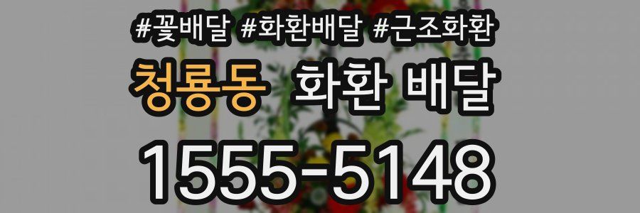 청룡동 화환 배달