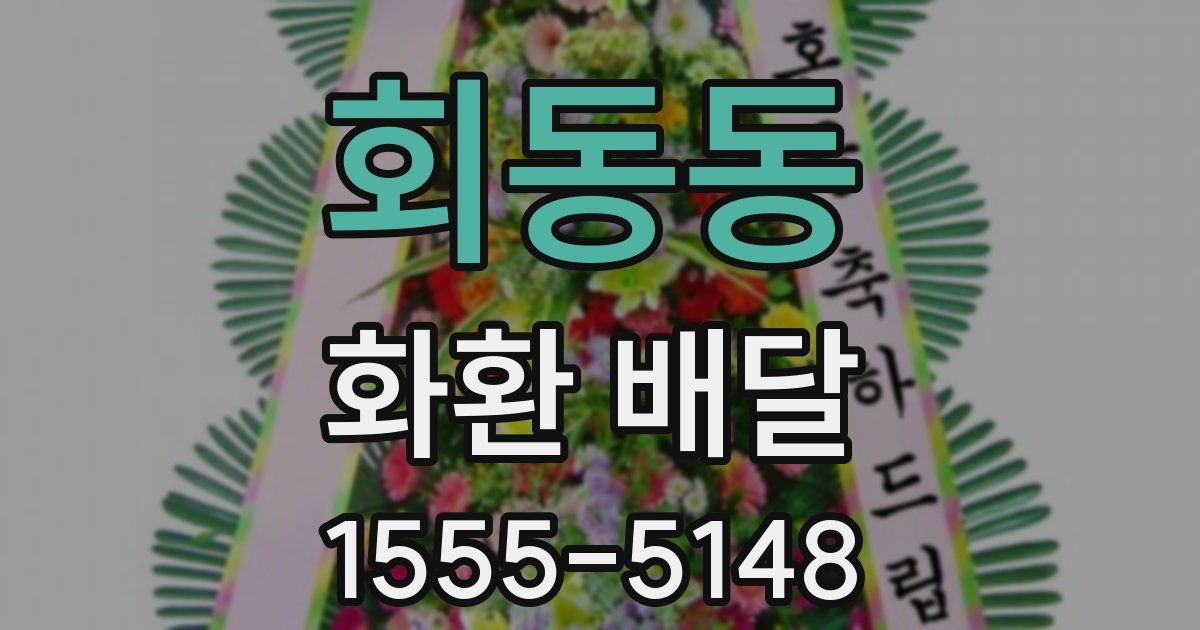 회동동 화환 배달
