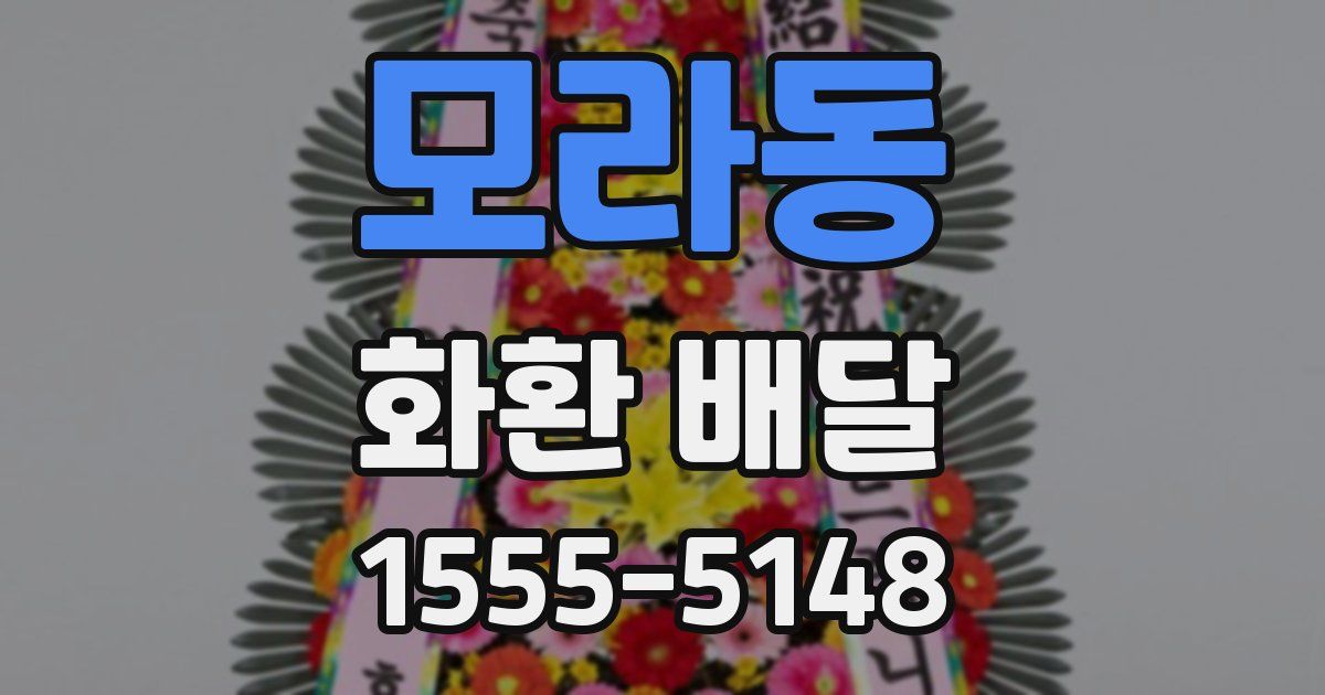 모라동 화환 배달