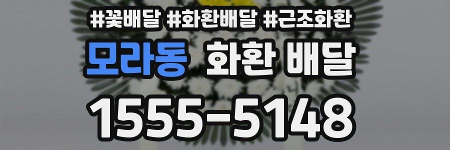 모라동 화환 배달