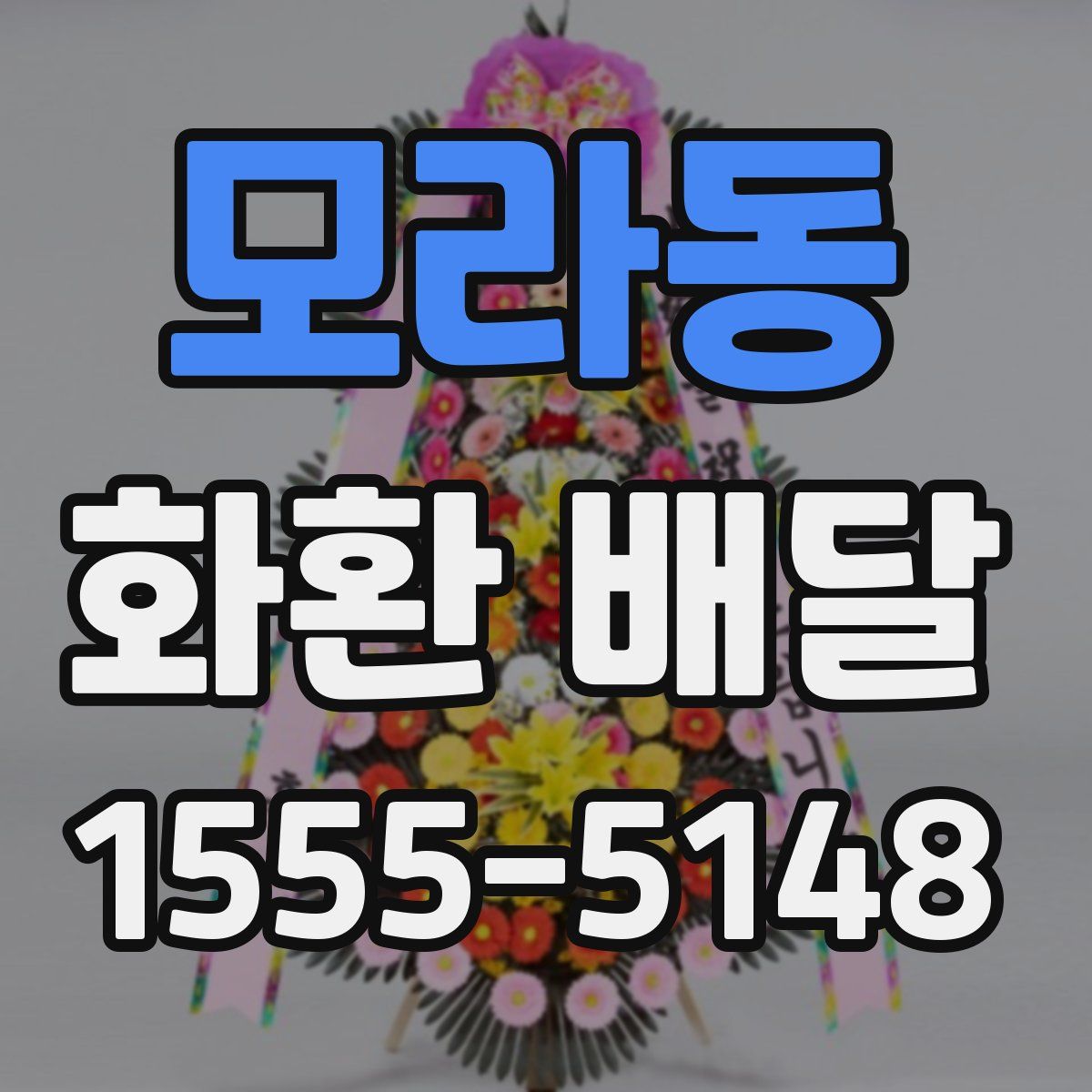 모라동 화환 배달