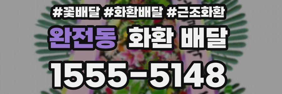 완전동 화환 배달