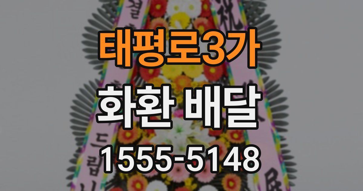 태평로3가 화환 배달