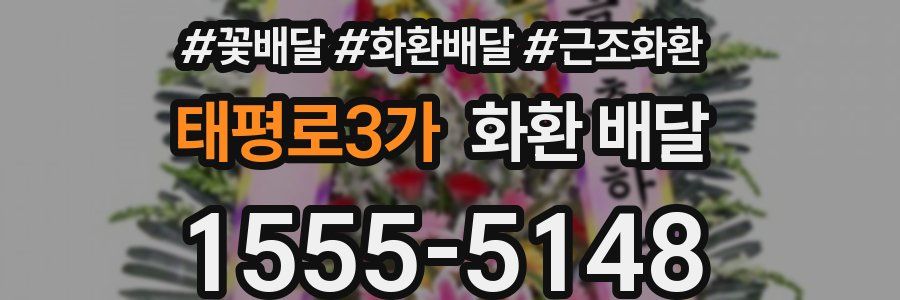 태평로3가 화환 배달
