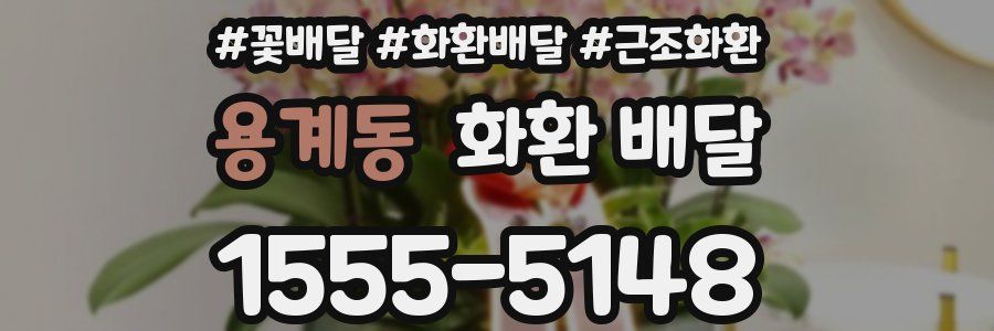 용계동 화환 배달