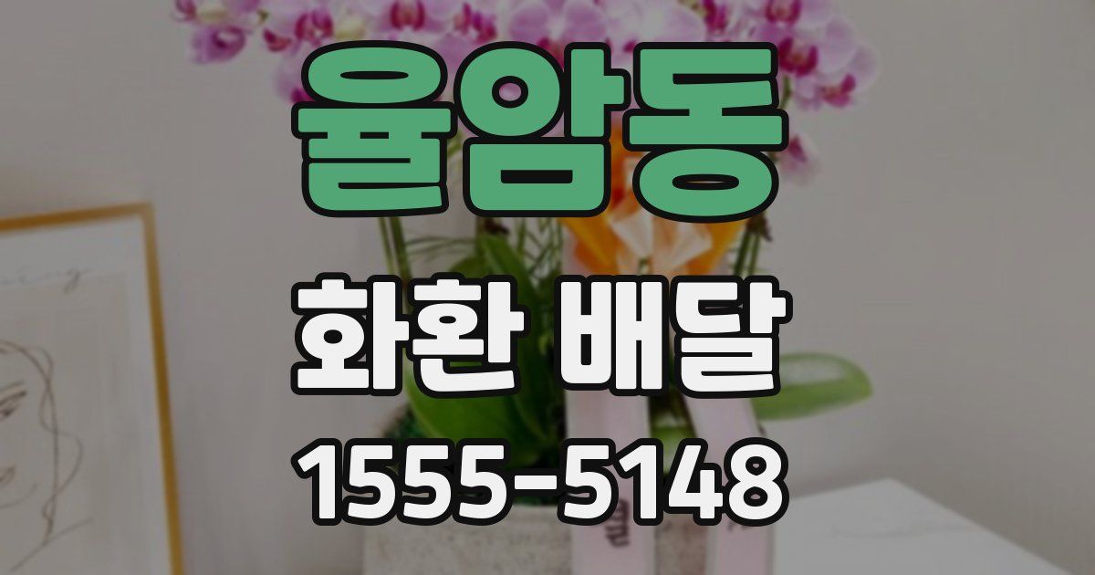 율암동 화환 배달