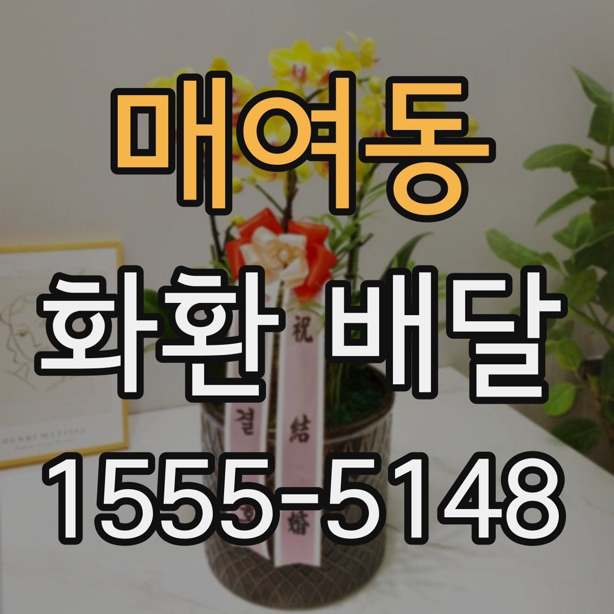 매여동 화환 배달