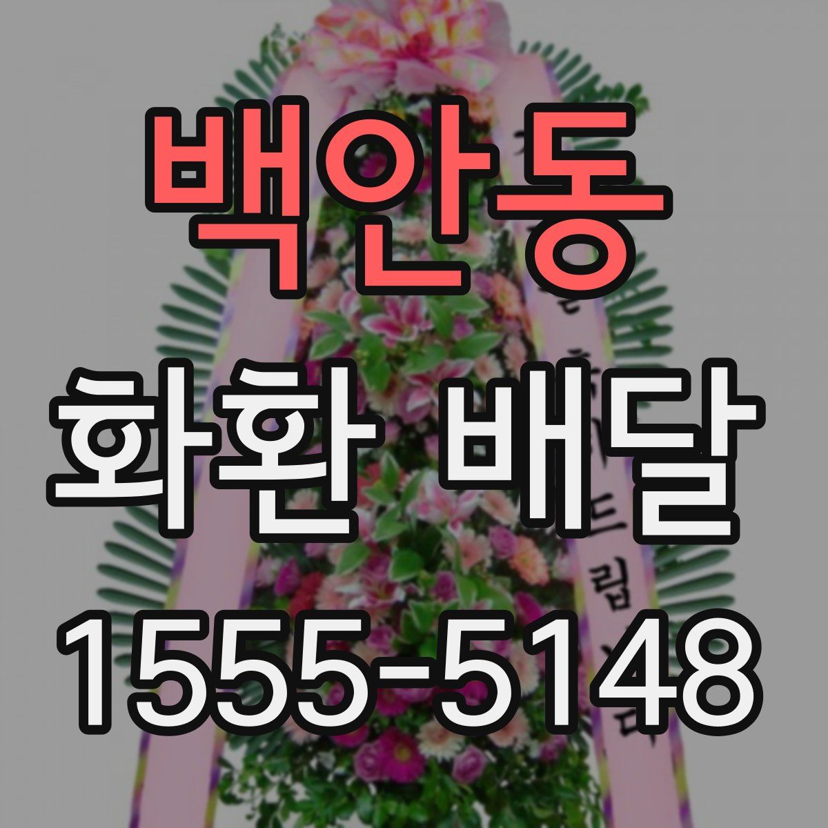 백안동 화환 배달