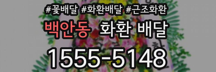 백안동 화환 배달