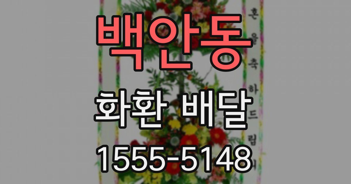백안동 화환 배달