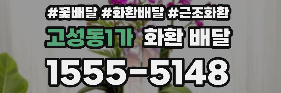 고성동1가 화환 배달