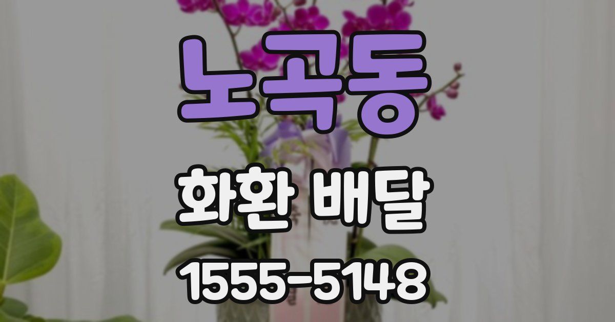 노곡동 화환 배달