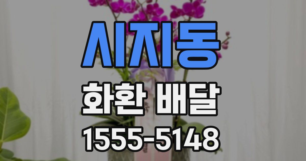시지동 화환 배달