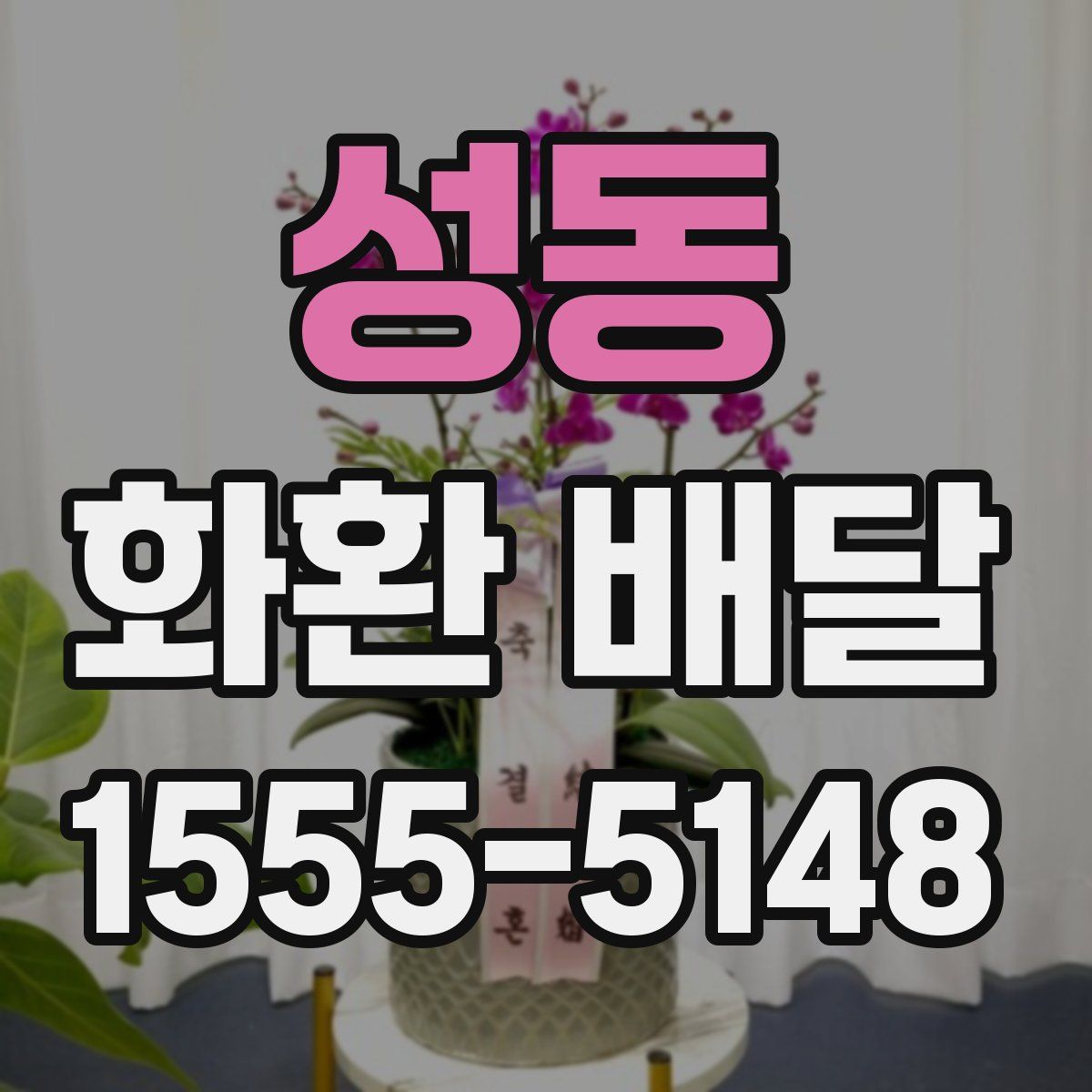 성동 화환 배달