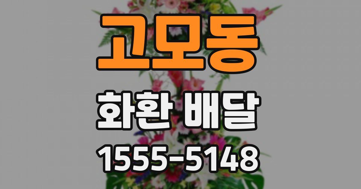 고모동 화환 배달