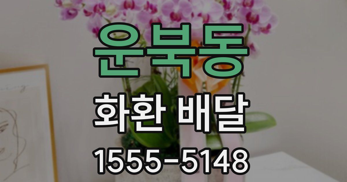 운북동 화환 배달