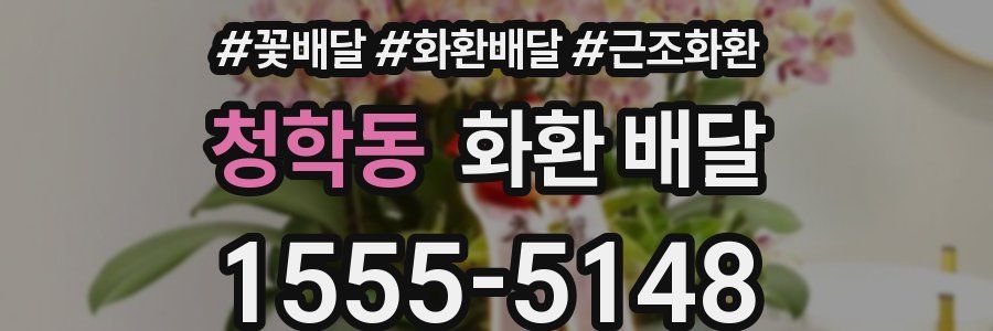 청학동 화환 배달