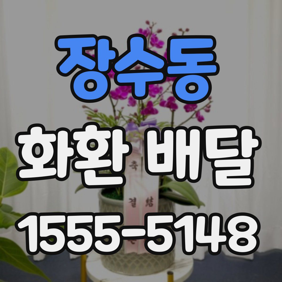 장수동 화환 배달