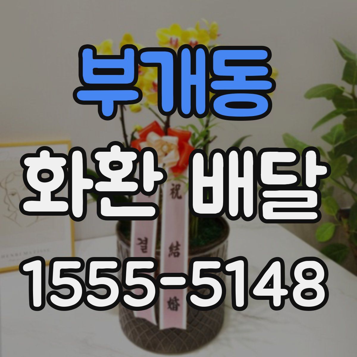부개동 화환 배달