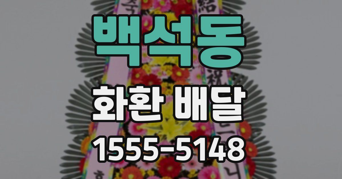 백석동 화환 배달