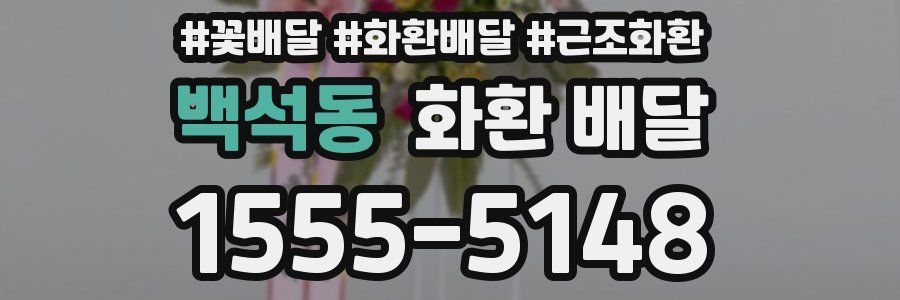 백석동 화환 배달
