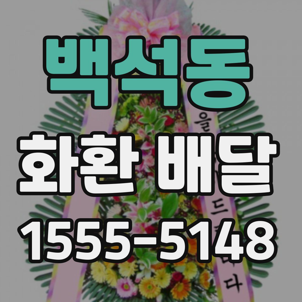 백석동 화환 배달