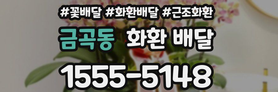 금곡동 화환 배달