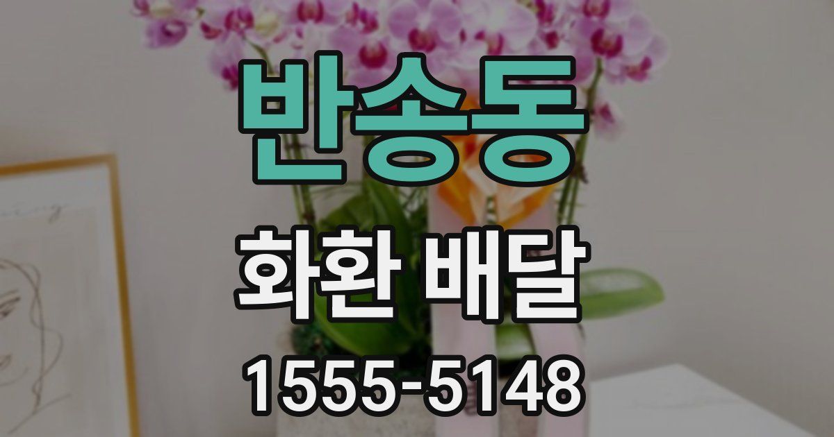 반송동 화환 배달