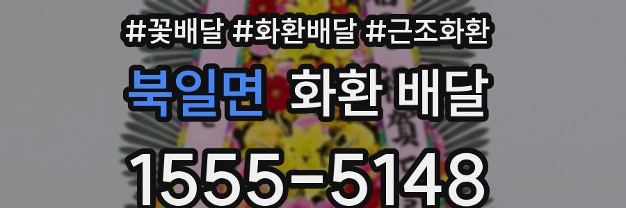 북일면 화환 배달