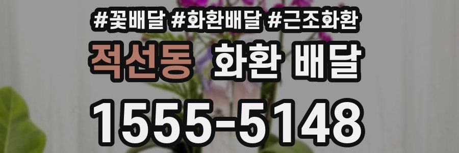 적선동 화환 배달