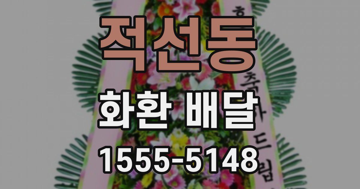 적선동 화환 배달