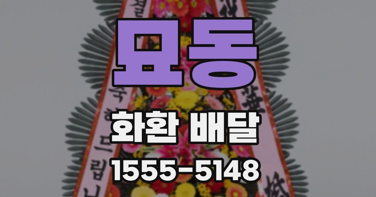 묘동 화환 배달