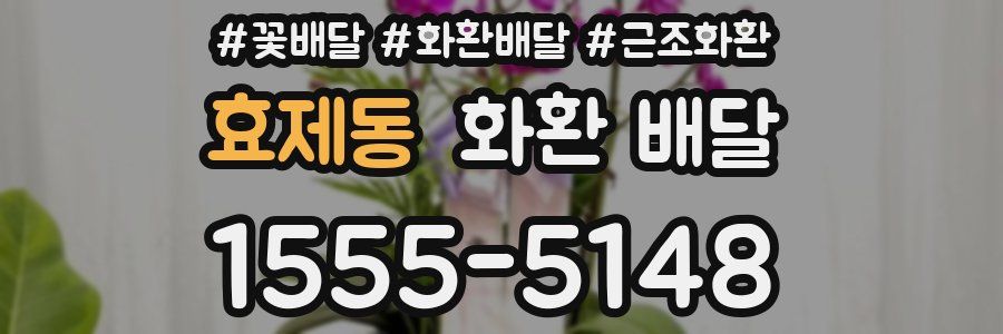 효제동 화환 배달