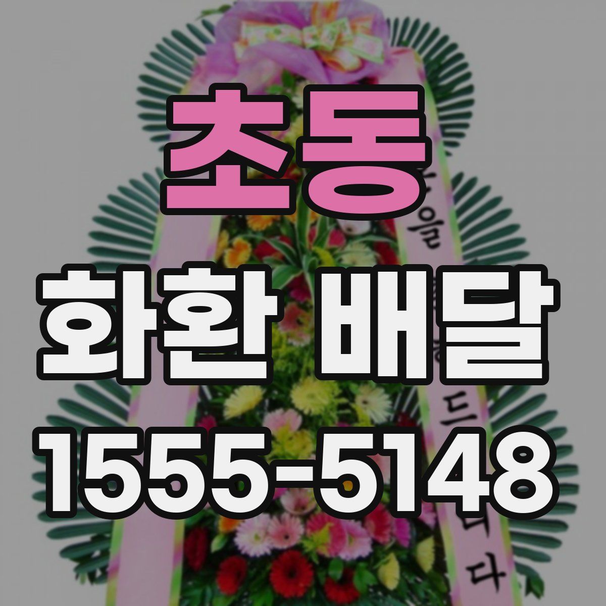 초동 화환 배달