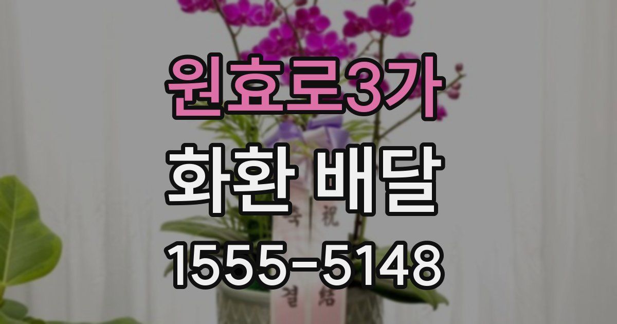 원효로3가 화환 배달