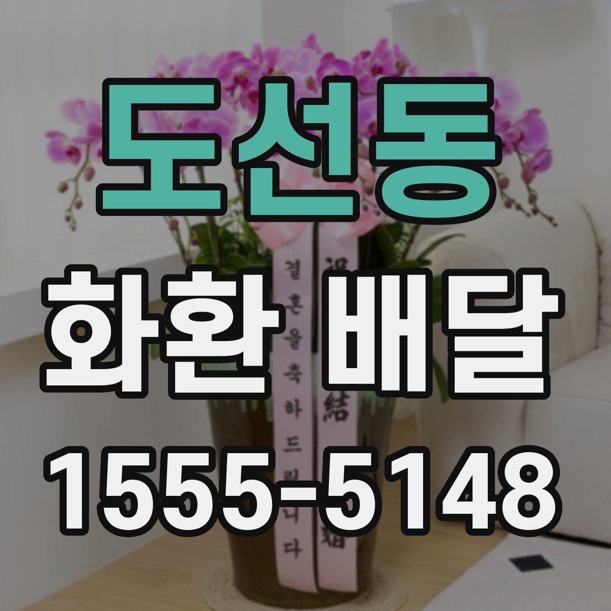 도선동 화환 배달