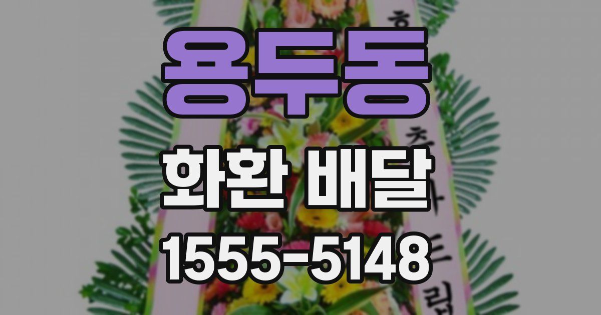 용두동 화환 배달