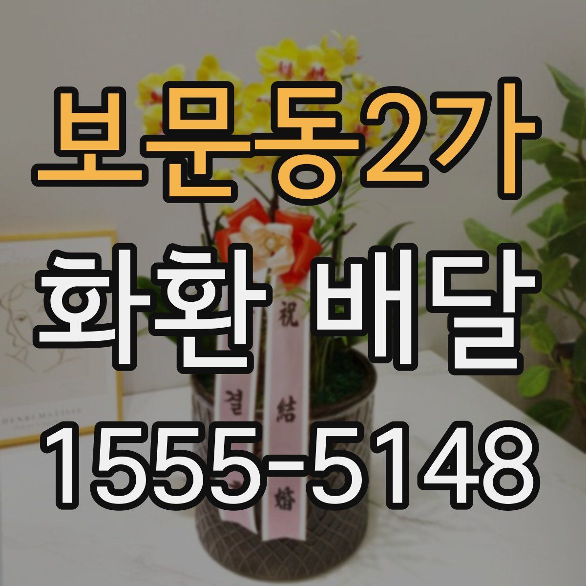 보문동2가 화환 배달