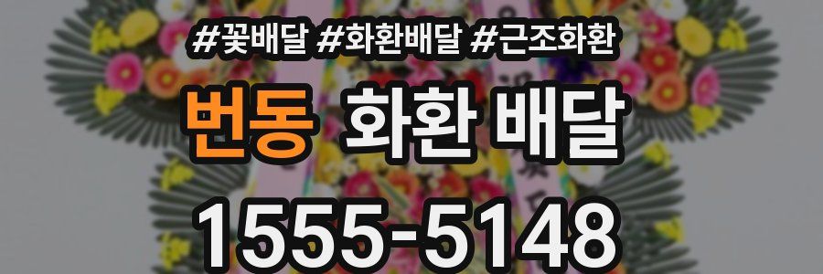 번동 화환 배달