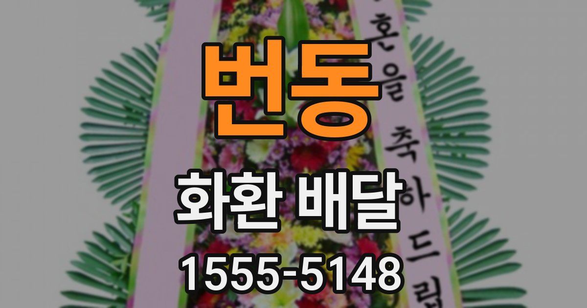 번동 화환 배달
